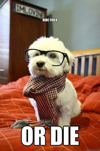 Hipster Dog