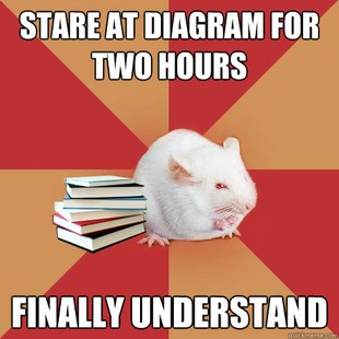 Science Major Mouse