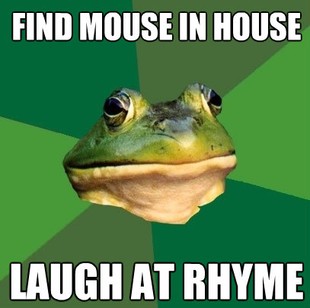 Foul Bachelor Frog