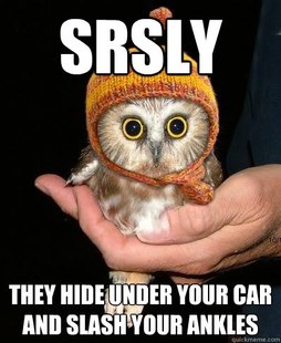 Snopeless Owl