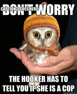 Snopeless Owl