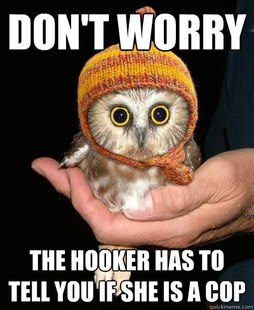 Snopeless Owl