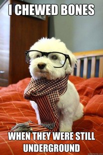 Hipster Dog