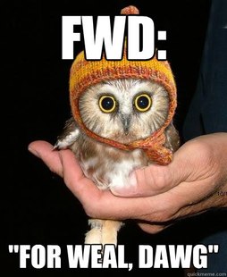 Snopeless Owl