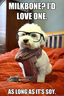 Hipster Dog