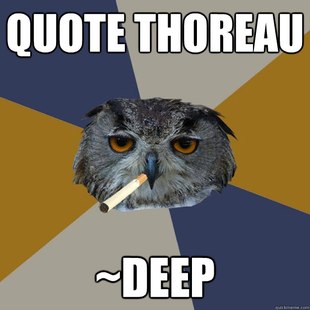 Art Student Owl
