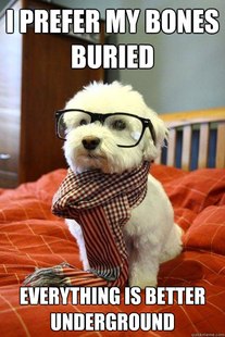 Hipster Dog