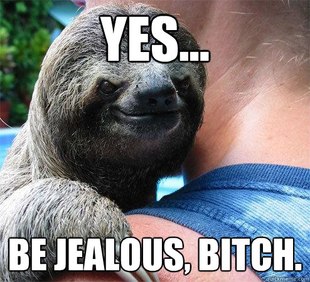Suspiciously Evil Sloth
