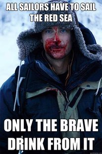 Bear Grylls