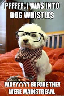 Hipster Dog