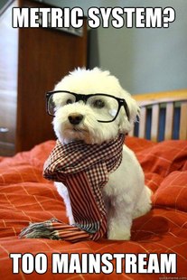Hipster Dog