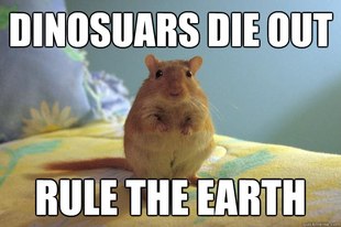Gerbillinae-Erectus