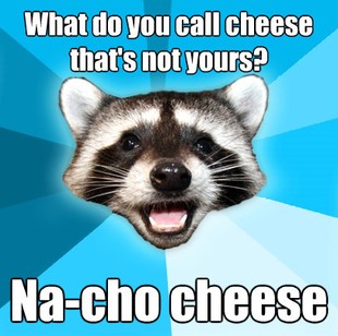 Lame Pun Coon