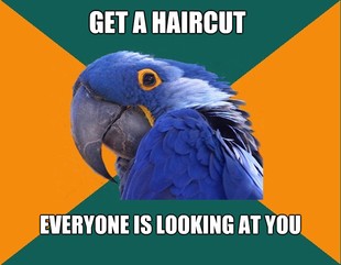 Paranoid Parrot