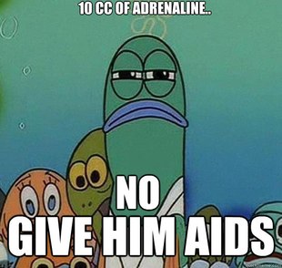 Serious fish SpongeBob