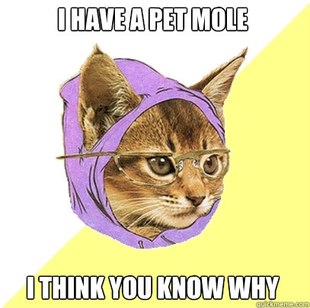 Hipster Kitty