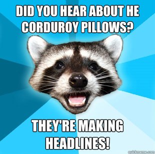 Lame Pun Coon