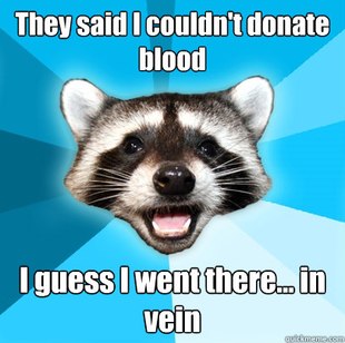 Lame Pun Coon