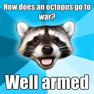 Lame Pun Coon