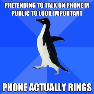 Socially Awkward Penguin