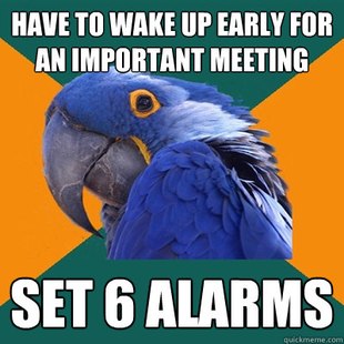 Paranoid Parrot