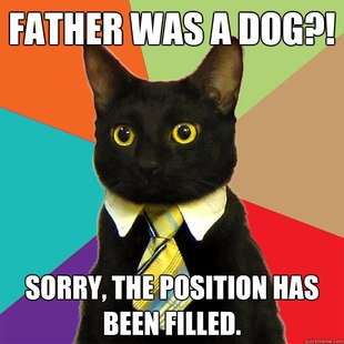 Business Cat