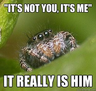 Misunderstood Spider