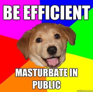 Advice Dog