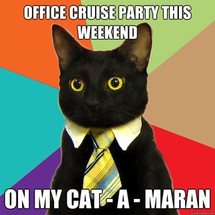 Business Cat