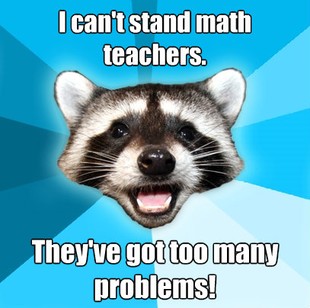 Lame Pun Coon