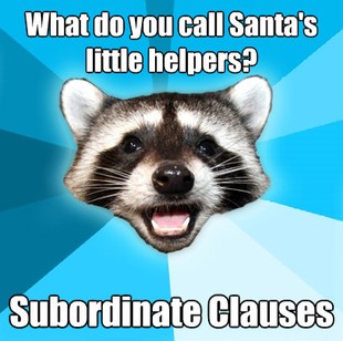 Lame Pun Coon