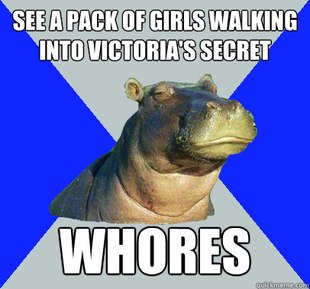 Skeptical Hippo