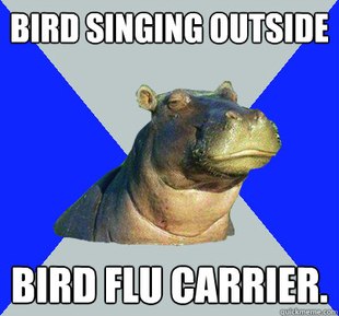 Skeptical Hippo