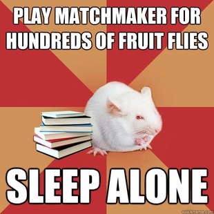 Science Major Mouse