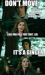 Horny Harry
