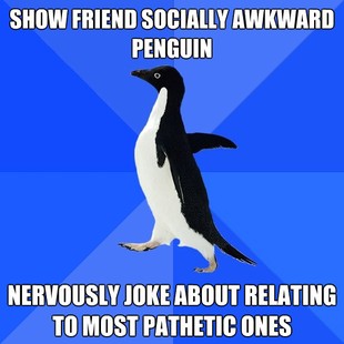 Socially Awkward Penguin