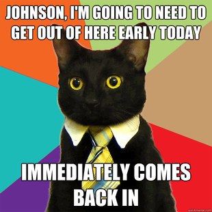 Business Cat