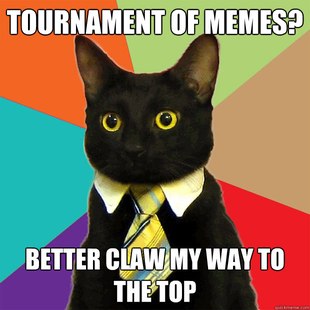 Business Cat