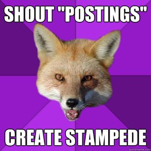 Forensics Fox