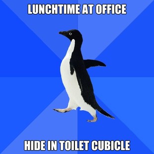 Socially Awkward Penguin