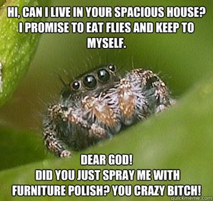Spider Meme on Make Your Own Misunderstood Spider Meme Using Our Meme Generator