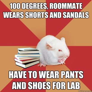 Science Major Mouse
