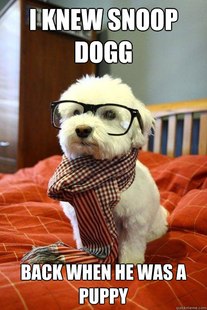 Hipster Dog