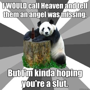 Pickup-Line Panda