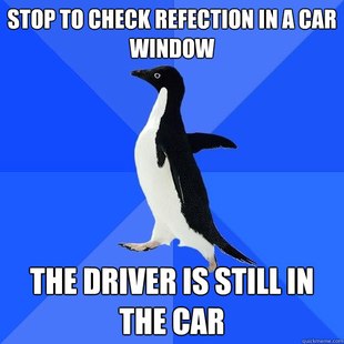 Socially Awkward Penguin