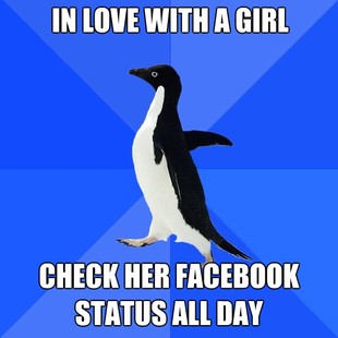 Socially Awkward Penguin