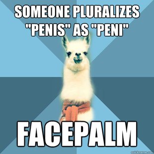 Linguist Llama