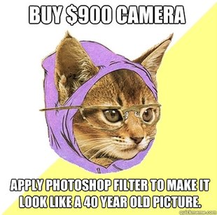 Hipster Kitty