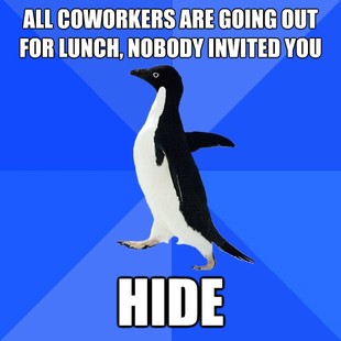 Socially Awkward Penguin
