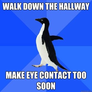 Socially Awkward Penguin